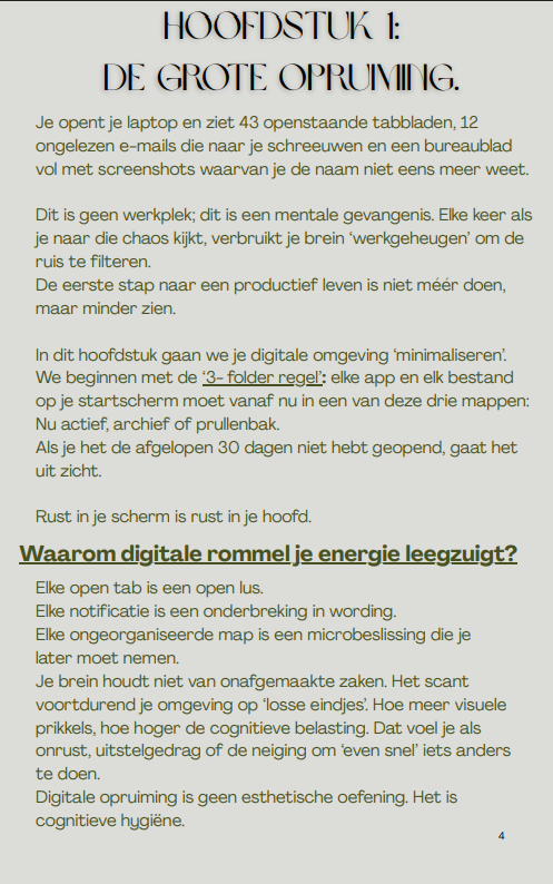 Focus op flow: De gids voor een stressvrij digitaal leven- Directe download (PDF).